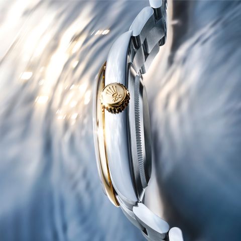 rolex-watches-new-watches-2026-the-oyster-perpetual-41 m134303-0001-landscape