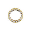 Leo Wittwer The Ultimate Ring - Bild 2
