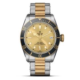 Unisex, TUDOR Black Bay S&G M79733N-0004