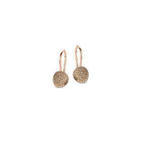         Roségold, Ohrringe, Bigli Mini Waves Earrings 23O77Rbrdia_cl