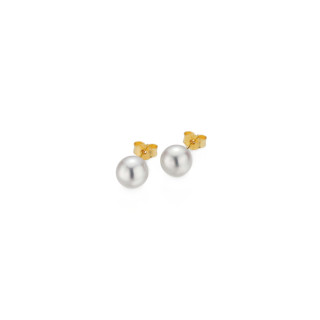 Gelbgold, Ohrringe, Gellner Basics Ohrstecker, Ref: 5-22552-03