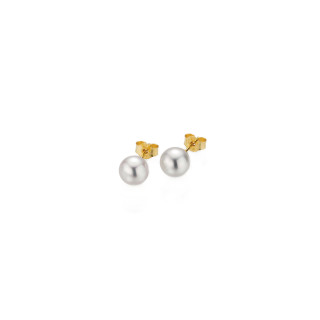 Gelbgold, Ohrringe, Gellner Basics Ohrstecker, Ref: 5-23685-01