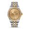 Bicolor, Gelbgold, Champagner