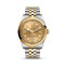 Bicolor, Gelbgold, Champagner