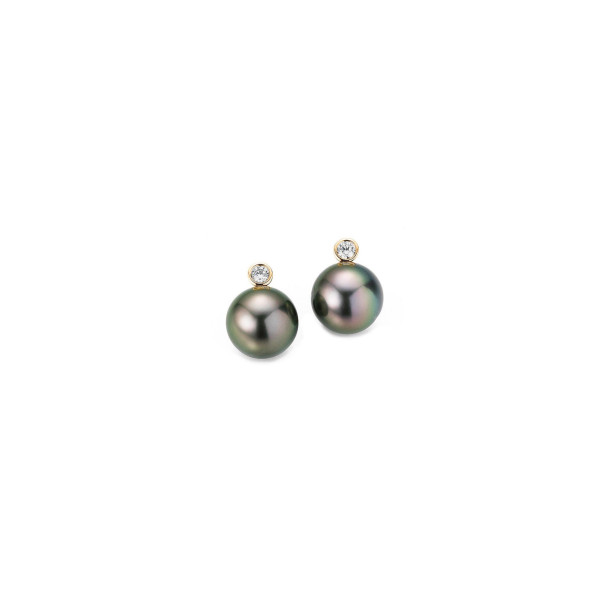         Gelbgold, Ohrringe, Gellner H2O Ohrstecker