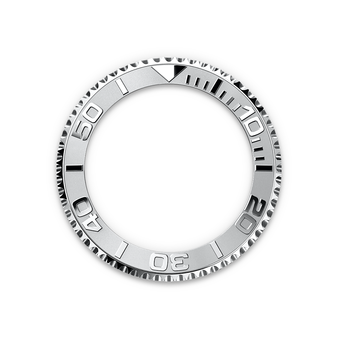 In beide Richtungen drehbare Lünette